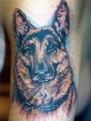 dog4.jpg