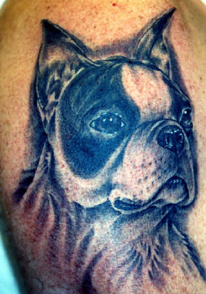 dog6.jpg