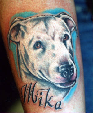 dog7.jpg